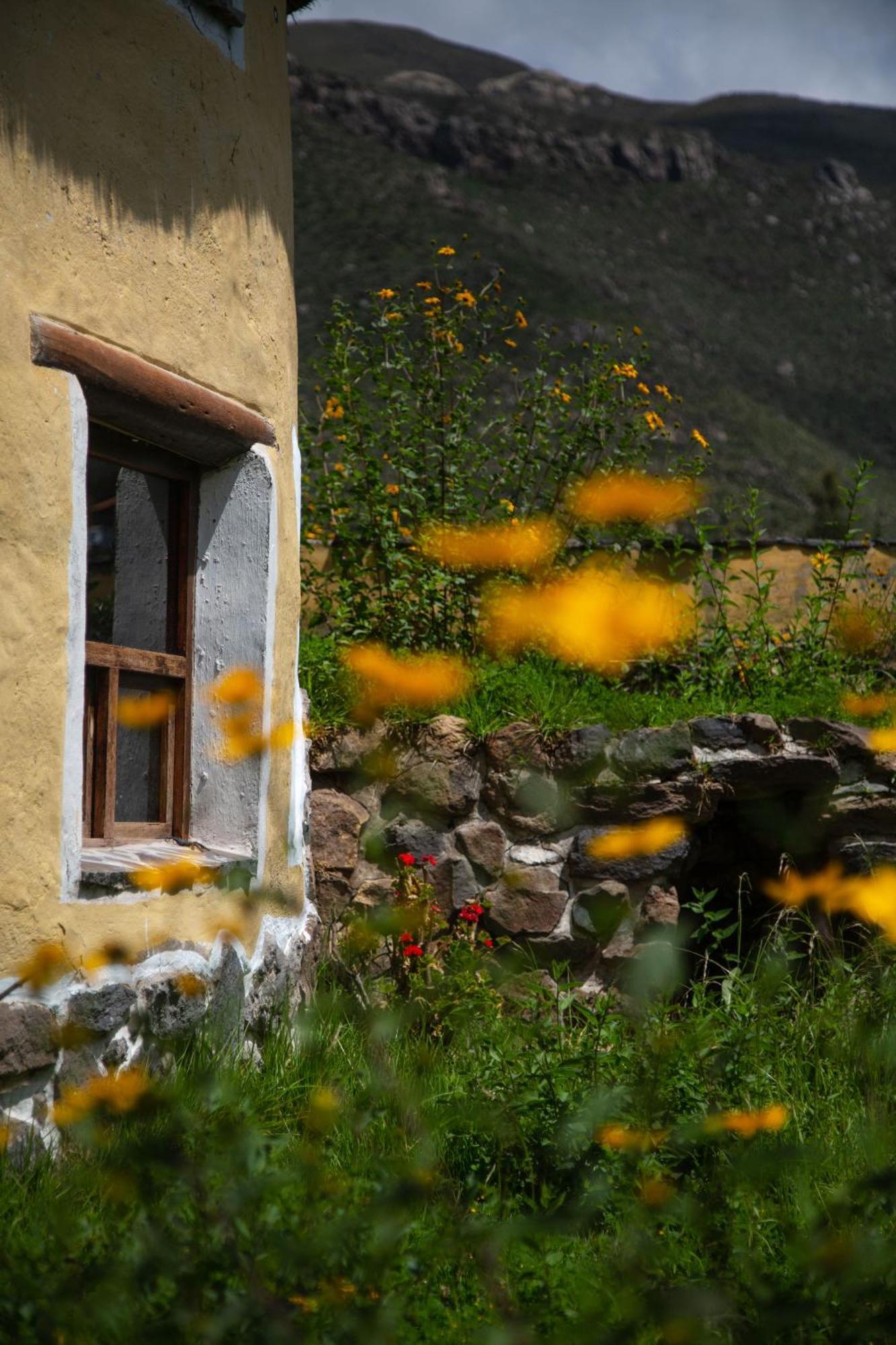 Hostal Ayni Wasi Coporaque Exterior foto